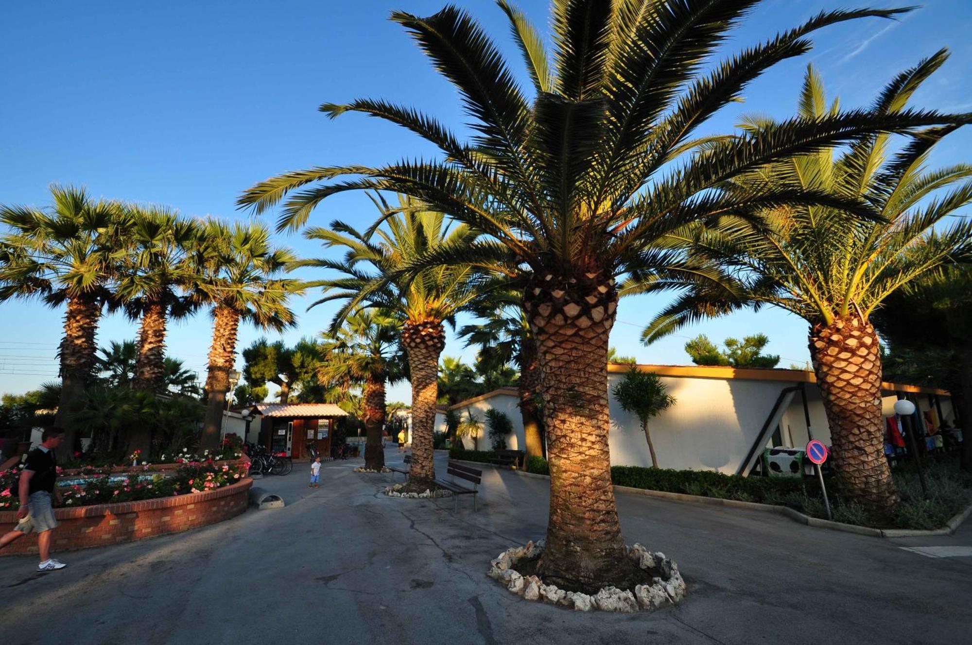 Camping Villaggio Calypso Cupra Marittima Esterno foto